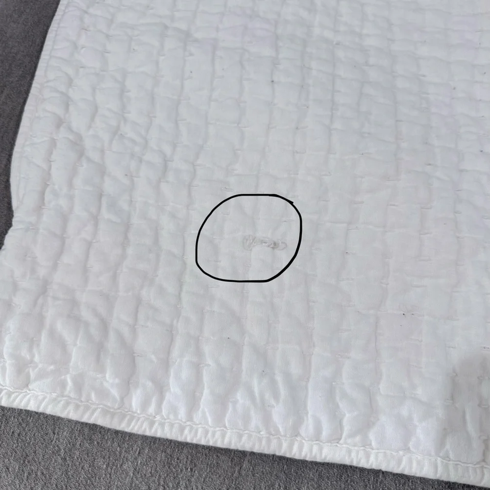 Pottery Barn King Shams - Picture 3 of 11